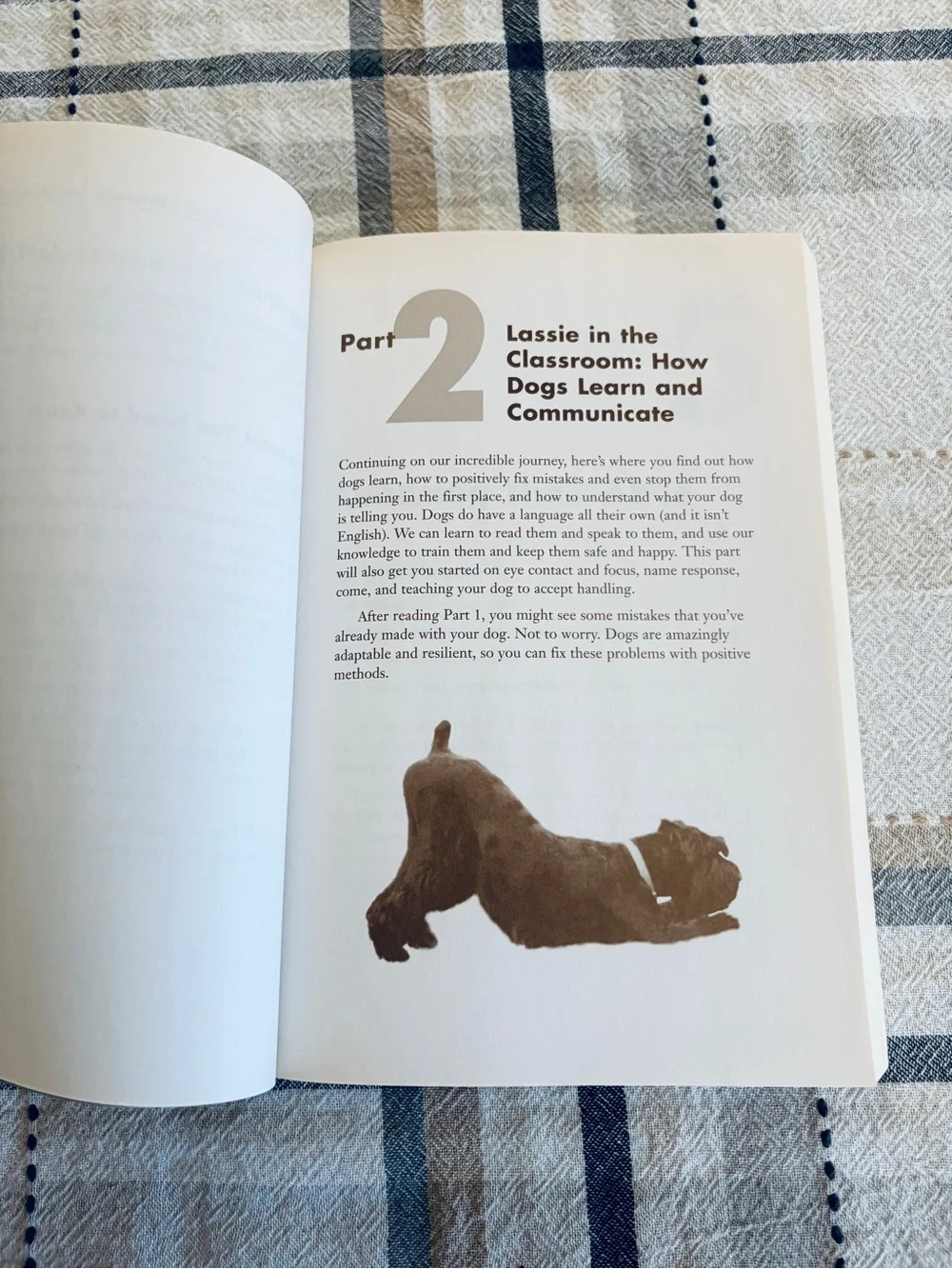 The Complete Idiots Guide to Positive Dog Training 2nd Edition 2005 Softcover - Picture 9 of 10